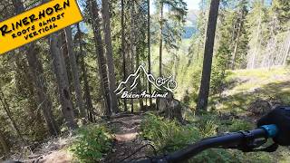 Rinerhorn — Roots almost vertical
