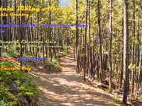 MTB of the Full Powderface Creek - Prairie...