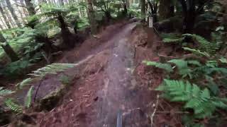 Yabba Dabba Doo @ Cougar MTB Park. Tokoroa