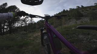Chalberfärich trail, Stafel, POV, eMTB,...