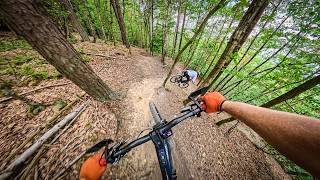 La Wasse — Steep and Dusty Between the Trees...
