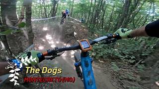 The Dogs, Montecreto (MO), 18-07-2026
