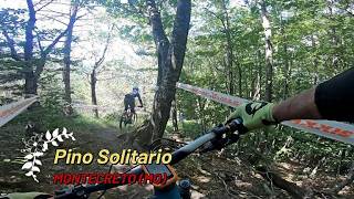 Pino Solitario, Montecreto (MO), 18-07-2026
