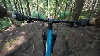 DH Intro, DH Pro, Monster Dog, Bidasken - Bike...