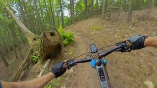 Hemlock Trail