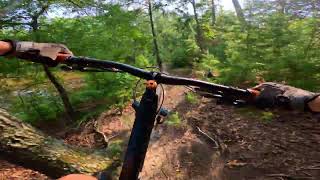 Rhodo Trail Preview | Patuxent River Valley Park