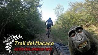 Trail del Macaco, Gessi Bolognesi (BO), 22-07-2026