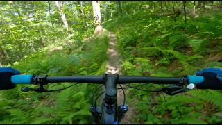Mountain Biking McCarty Hill State Forest |...