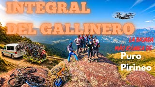 LA INTEGRAL DEL GALLINERO | El Trail MÁS...