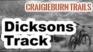 Dicksons Track  - Craigieburn Forest Park - NZ...