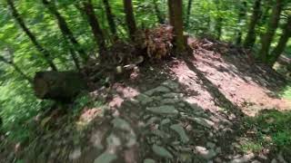 Infernone C51 - Elvo Natural Trail