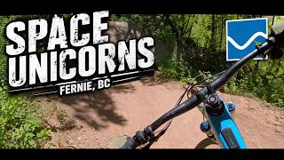 Space Unicorns - Fernie, BC
