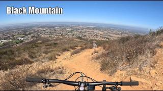 Chunky Black Widow Trails at Black Mountain in...