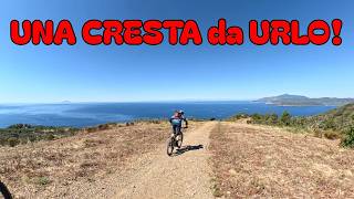 una CRESTA MTB da URLO! Cessa dell'Asta -...