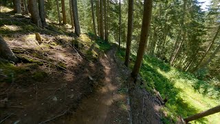 Schwarzleo Trail | LE13  - The Epic Bikepark...