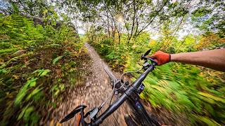 Haustère — Deep in the Belgian Jungle | MTB POV
