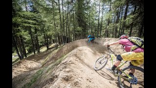 Blueberry Line Trail at Carosello 3000 /...