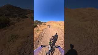 Haskell lessons BIRDDZ626@gmail.com #mtb #shorts