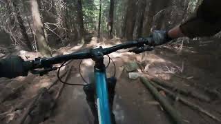 Black Witch - Radunia enduro MTB, 2026