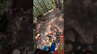 Full video 9:16 l Meadow of the Grizzly, Half...