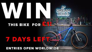 7 DAYS LEFT to WIN this Marin Tam Dream Build...