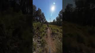 Blue trail shredding #mtb #catalonia #emtb...