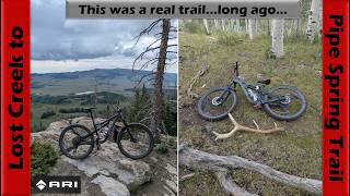 Finally got some rain! And the trail...