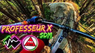 Professeur X - SDM