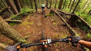 Brown Pow | Lake Whatcom, Bellingham