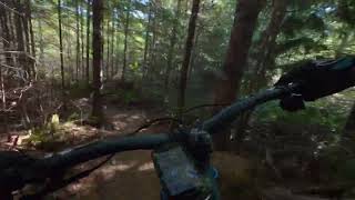 Coal Pile Upper Half - Ridge Runner, Nanaimo -...