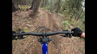 lower missing link - ashland, OR