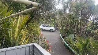 Wellington snow. 4/8/26
