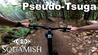 Pseudo-Tsuga - Squamish 2024