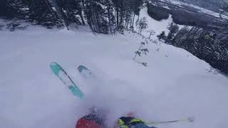 Fernie Skiing 2018