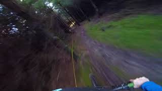 DH Farm - Pineneedle Line
