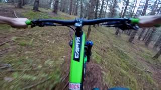Secret Deer Track MTB