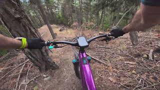 Egga upper/lower and 1317 - 1237 trails,...