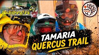 Tamaria: Quercus Trail