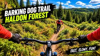 POV MTB | Barking Dog Trail, Haldon Forest |...
