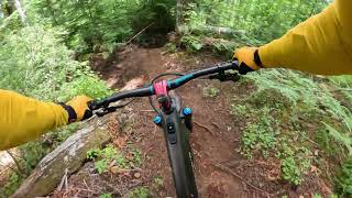 Gnarstow- Drift Creek MTB