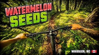 Watermelon Seeds | New Blue trail in WHISTLER, BC