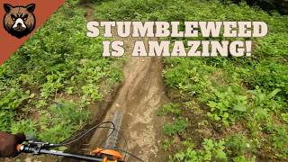 The Best Trail at Sunpeaks Bike Park |...