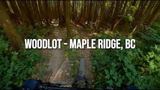Lower Toadstool - Woodlot MTB - Maple Ridge,...
