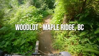 Upper Toadstool - Woodlot MTB - Maple Ridge,...