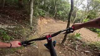 Snail Trail @ Wainui Trail Park
