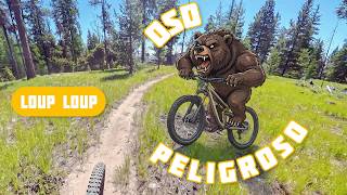 POV: Bear-ly Hangin' On to Oso Peligroso