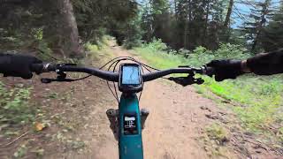 Deleeschi-Flow Lower trail, Leukerbad, POV,...