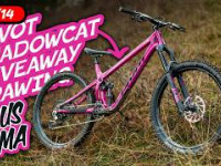 Pivot Shadowcat Giveaway Drawing + Ask Us Anything