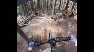 Gopro Hero 12 - Ninja Cougar to Face to Black...