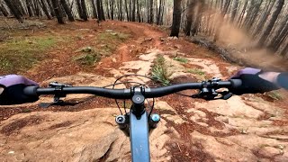 Rock Lobster trail